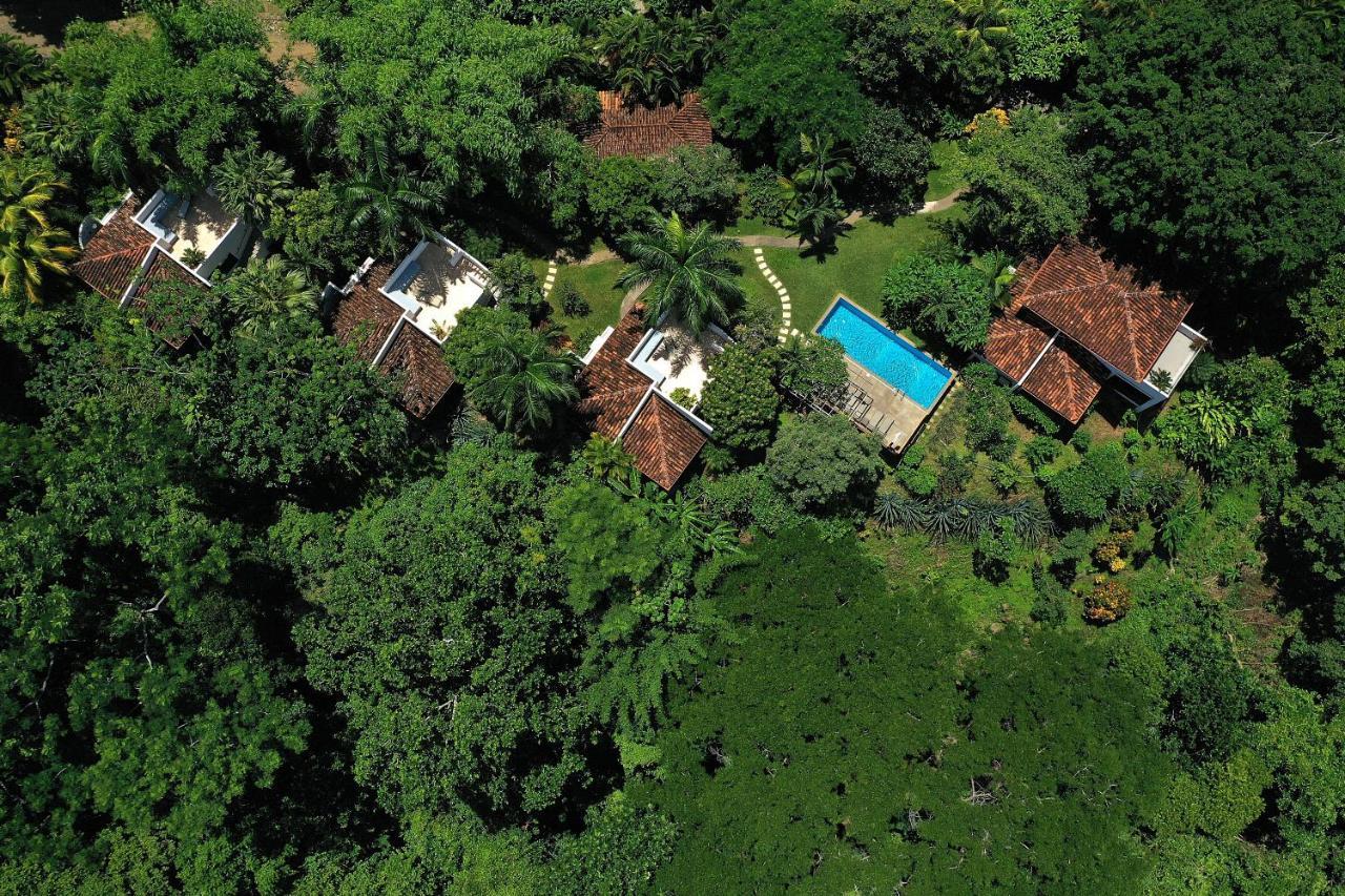 Hotel Casa Frangipani Montezuma Zewnętrze zdjęcie