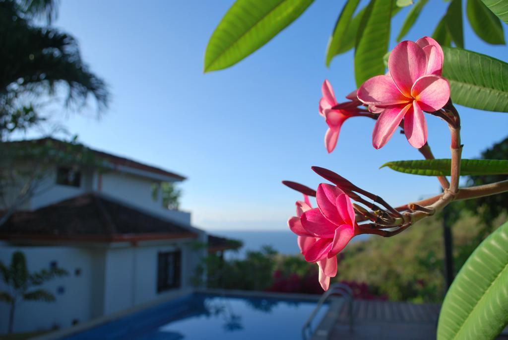 Hotel Casa Frangipani Montezuma Zewnętrze zdjęcie