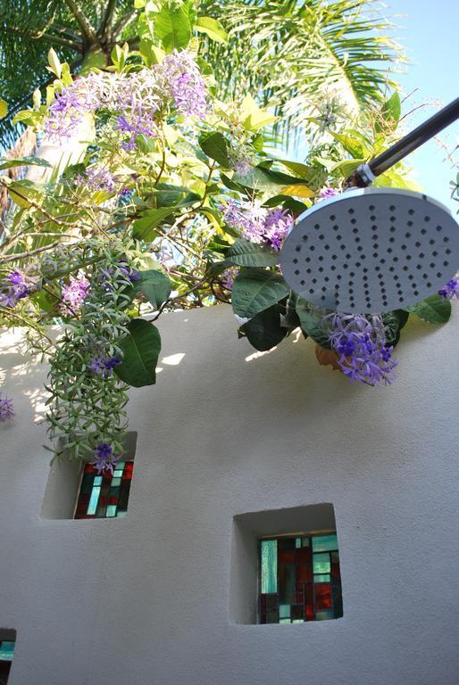 Hotel Casa Frangipani Montezuma Zewnętrze zdjęcie